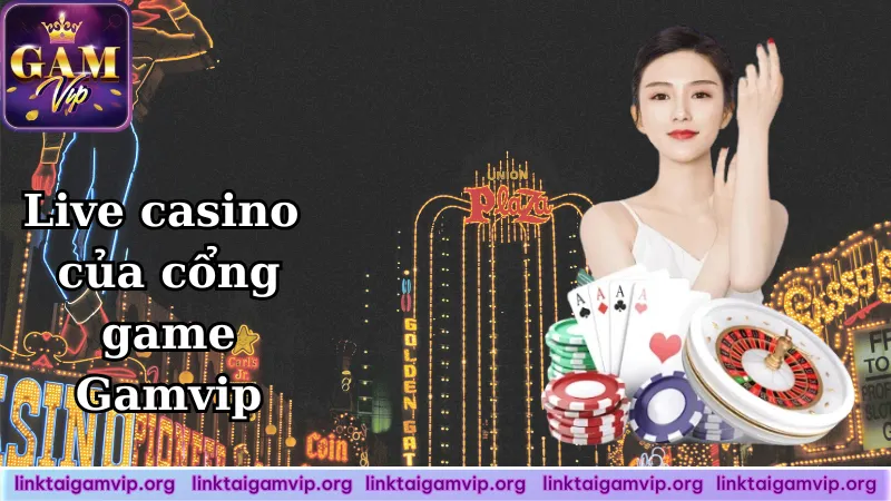 Live casino tại cổng game gamvip Live casino tại cổng game gamvip
