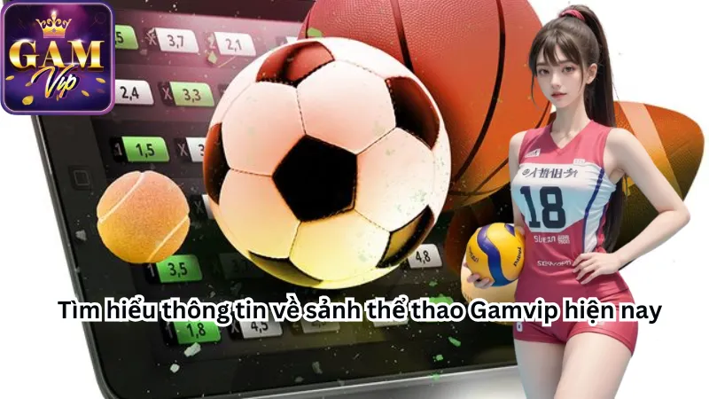 Tìm hiểu thông tin về sảnh thể thao Gamvip hiện nay Tìm hiểu thông tin về sảnh thể thao Gamvip hiện nay